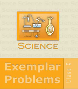 NCERT Exemplar Class 10 Science book