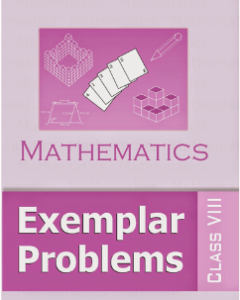 NCERT Exemplar Maths Class 8