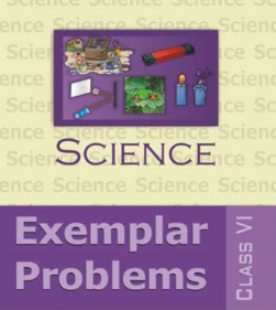 NCERT Exemplar Book Class 6 Science