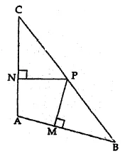 ML Aggarwal Class 10 Solutions for ICSE Maths Chapter 13 Similarity Chapter Test 2