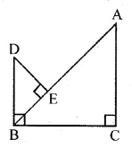 ML Aggarwal Class 10 Solutions for ICSE Maths Chapter 13 Similarity Ex 13.1 32