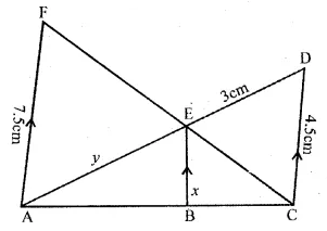 ML Aggarwal Class 10 Solutions for ICSE Maths Chapter 13 Similarity Ex 13.1 45