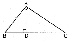 ML Aggarwal Class 10 Solutions for ICSE Maths Chapter 13 Similarity Ex 13.1 48