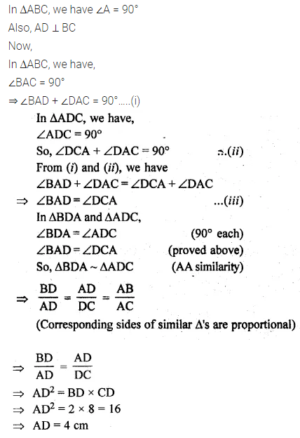 ML Aggarwal Class 10 Solutions for ICSE Maths Chapter 13 Similarity Ex 13.1 49