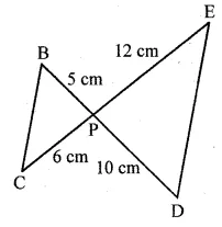 ML Aggarwal Class 10 Solutions for ICSE Maths Chapter 13 Similarity Ex 13.1 5