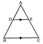 ML Aggarwal Class 10 Solutions for ICSE Maths Chapter 13 Similarity Ex 13.3 16