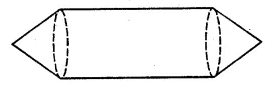 ML Aggarwal Class 10 Solutions for ICSE Maths Chapter 17 Mensuration MCQS 14