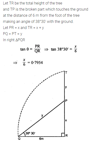 ML Aggarwal Class 10 Solutions for ICSE Maths Chapter 20 Heights and Distances Ex 20 13