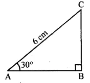 ML Aggarwal Class 10 Solutions for ICSE Maths Chapter 20 Heights and Distances MCQS 1