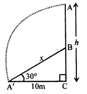 ML Aggarwal Class 10 Solutions for ICSE Maths Chapter 20 Heights and Distances MCQS 6