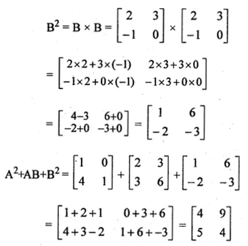 ML Aggarwal Class 10 Solutions for ICSE Maths Chapter 8 Matrices Ex 8.3 15