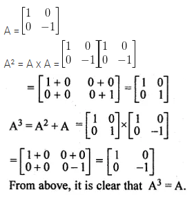 ML Aggarwal Class 10 Solutions for ICSE Maths Chapter 8 Matrices Ex 8.3 17