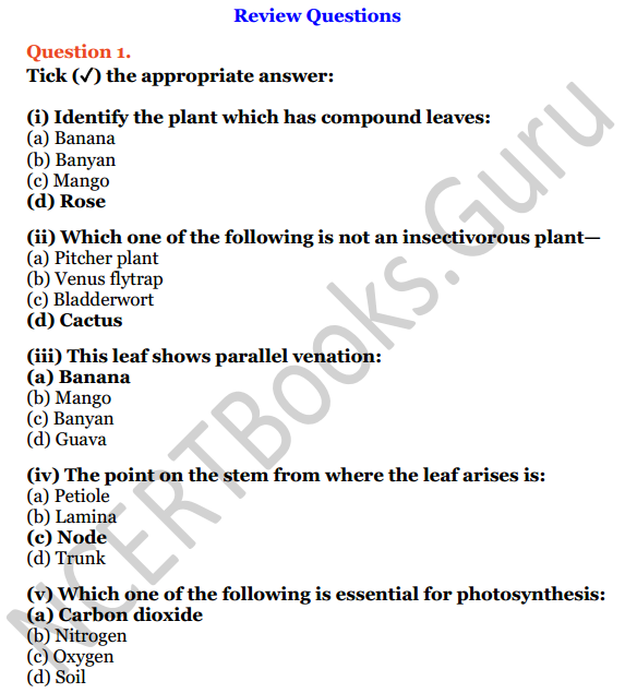 Selina Concise Biology Class 6 ICSE Solutions Chapter 1 The Leaf 1