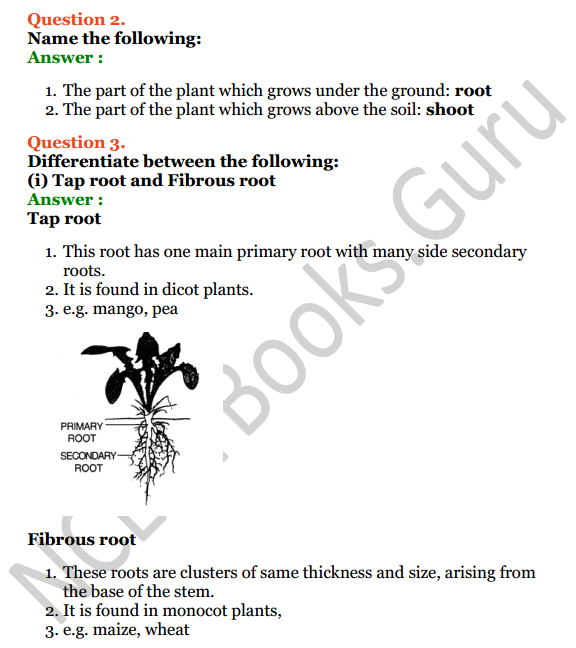Selina Concise Biology Class 6 ICSE Solutions Chapter 1 The Leaf 2