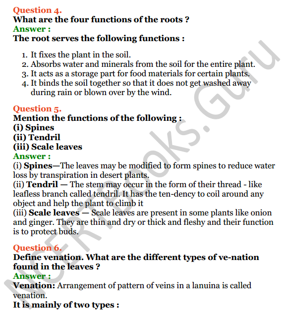 Selina Concise Biology Class 6 ICSE Solutions Chapter 1 The Leaf 4