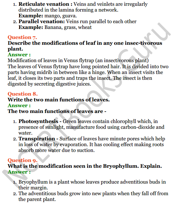 Selina Concise Biology Class 6 ICSE Solutions Chapter 1 The Leaf 5