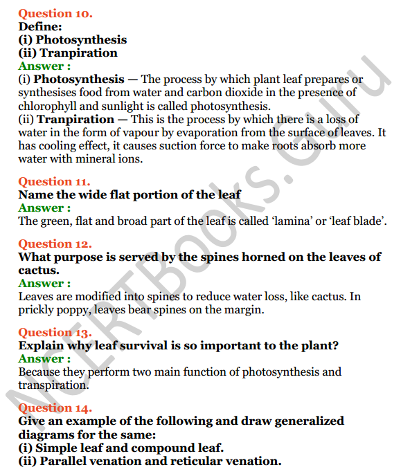 Selina Concise Biology Class 6 ICSE Solutions Chapter 1 The Leaf 6