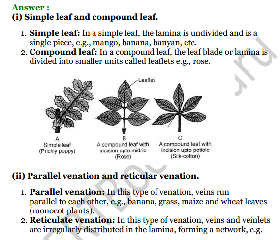 Selina Concise Biology Class 6 ICSE Solutions Chapter 1 The Leaf 7