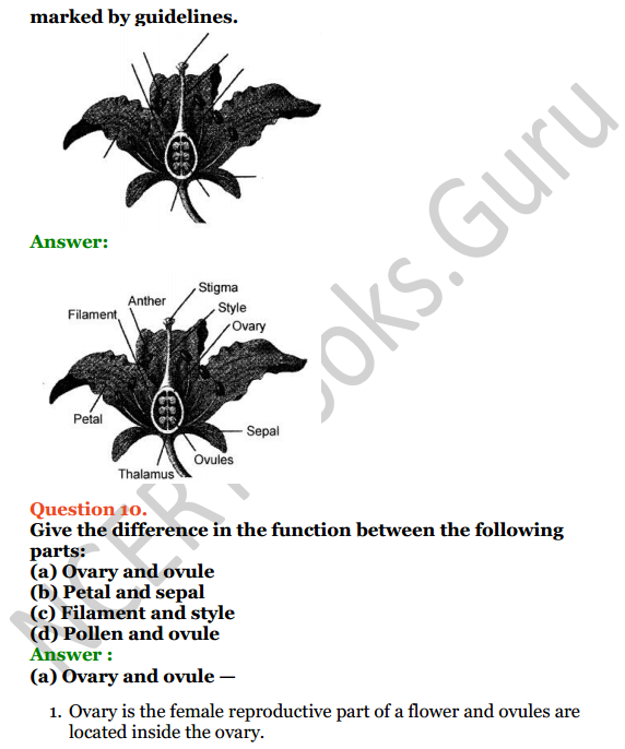 Selina Concise Biology Class 6 ICSE Solutions Chapter 2 The Flower 15