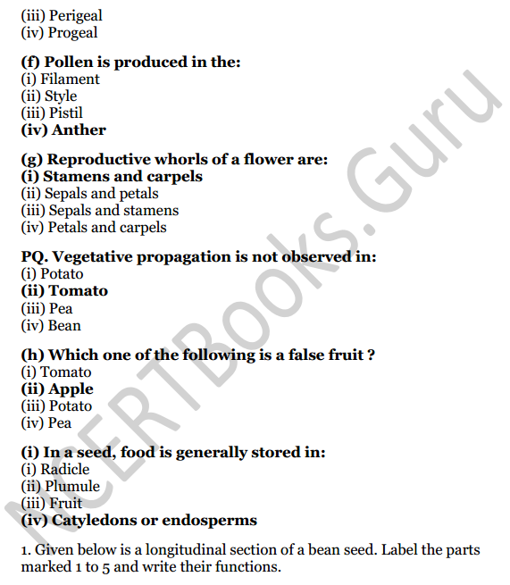 Selina Concise Biology Class 6 ICSE Solutions Chapter 2 The Flower 2