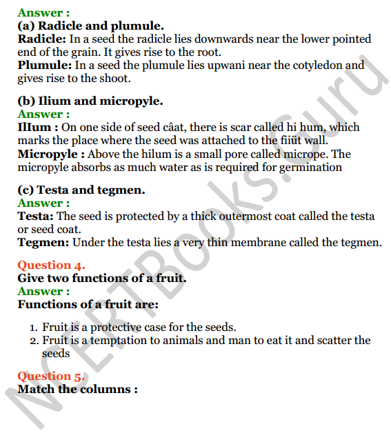 Selina Concise Biology Class 6 ICSE Solutions Chapter 2 The Flower 4