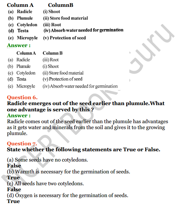 Selina Concise Biology Class 6 ICSE Solutions Chapter 2 The Flower 5