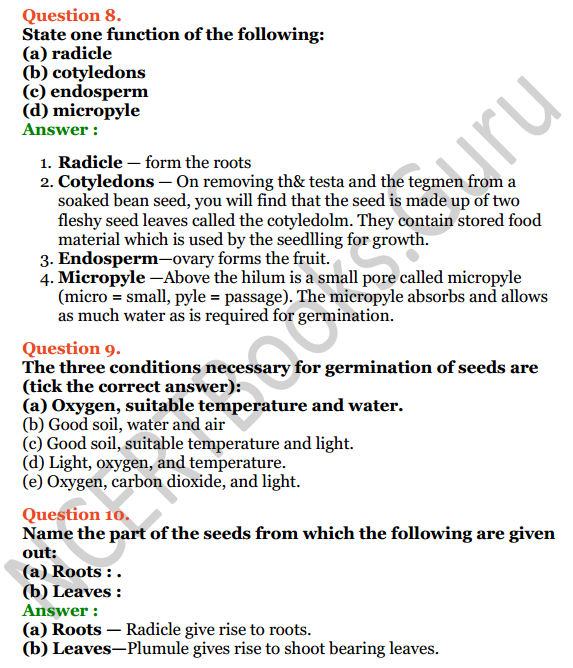 Selina Concise Biology Class 6 ICSE Solutions Chapter 2 The Flower 6