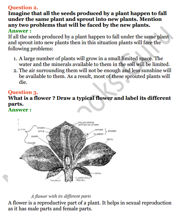 Selina Concise Biology Class 6 ICSE Solutions Chapter 2 The Flower 8