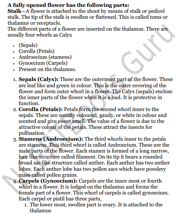 Selina Concise Biology Class 6 ICSE Solutions Chapter 2 The Flower 9