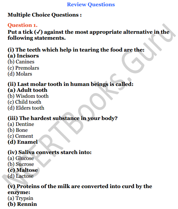 Selina Concise Biology Class 6 ICSE Solutions Chapter 4 Digestive System 1
