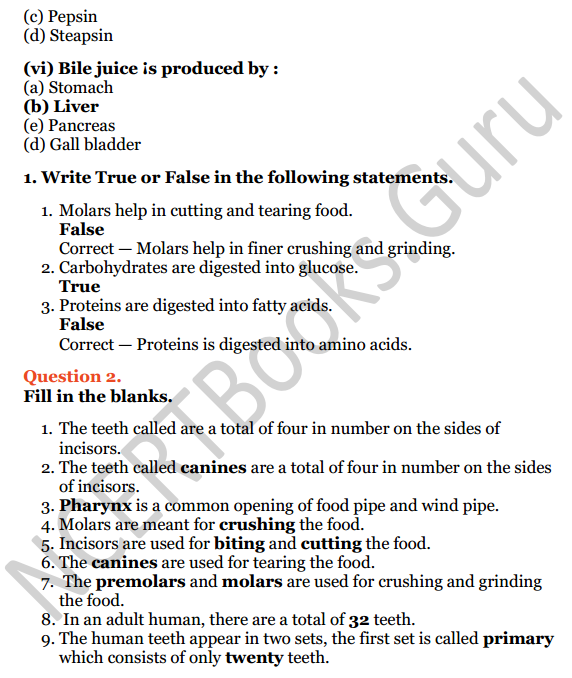 Selina Concise Biology Class 6 ICSE Solutions Chapter 4 Digestive System 2