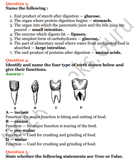 Selina Concise Biology Class 6 ICSE Solutions Chapter 4 Digestive System 3