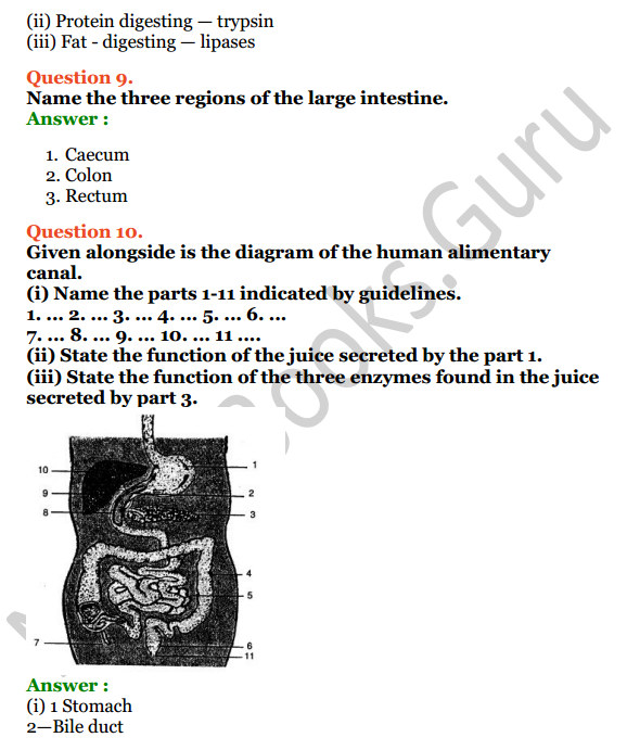 Selina Concise Biology Class 6 ICSE Solutions Chapter 4 Digestive System 5