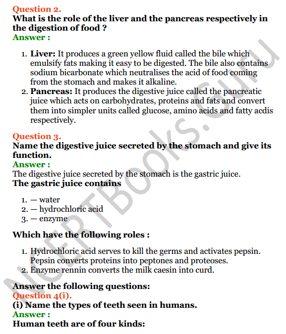 Selina Concise Biology Class 6 ICSE Solutions Chapter 4 Digestive System 7