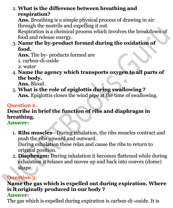 Selina Concise Biology Class 6 ICSE Solutions Chapter 5 Respiratory System 2