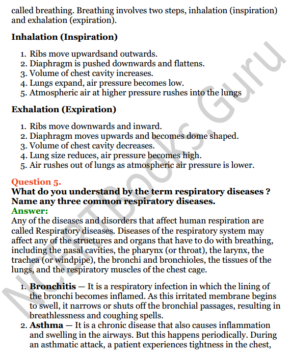 Selina Concise Biology Class 6 ICSE Solutions Chapter 5 Respiratory System 5