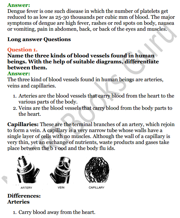 Selina Concise Biology Class 6 ICSE Solutions Chapter 6 The Circulatory System 6