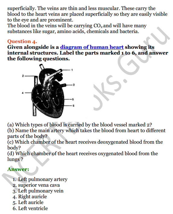 Selina Concise Biology Class 6 ICSE Solutions Chapter 6 The Circulatory System 9