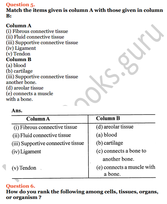 Selina Concise Biology Class 7 ICSE Solutions Chapter 1 Plant and Animal  Tissues - NCERT Books