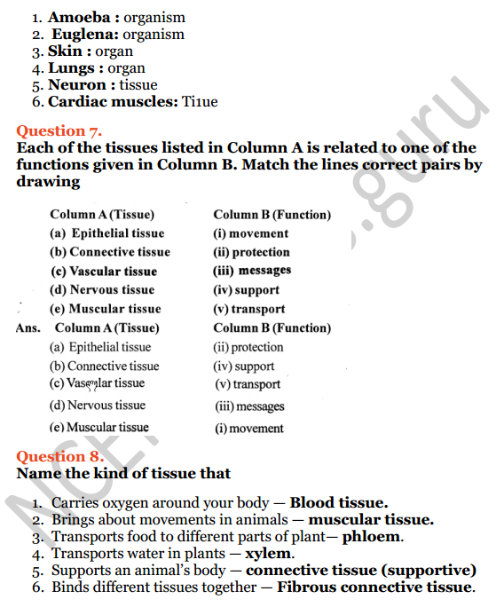 Selina Concise Biology Class 7 ICSE Solutions Chapter 1 Plant and Animal Tissues - NCERT Books Selina Concise Biology Class 7 ICSE Solutions Chapter 1 Plant and Animal Tissues - NCERT Books