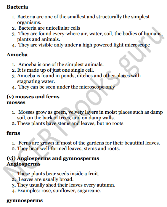 Selina Concise Biology Class 7 ICSE Solutions Chapter 2 Classification of Plants 4