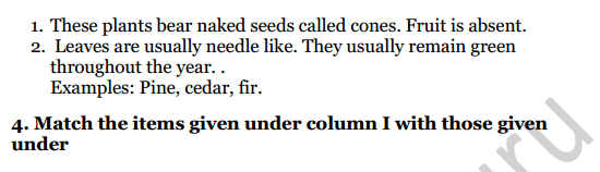 Selina Concise Biology Class 7 ICSE Solutions Chapter 2 Classification of Plants 5