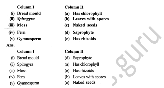 Selina Concise Biology Class 7 ICSE Solutions Chapter 2 Classification of Plants 6