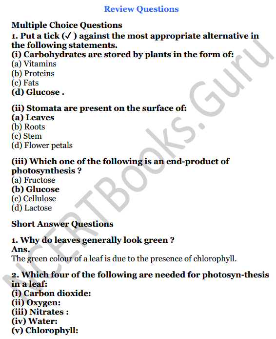 Selina Concise Biology Class 7 ICSE Solutions Chapter 4 Photosynthesis and Respiration 1