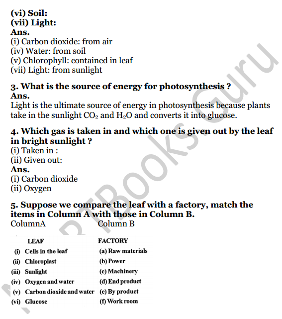 Selina Concise Biology Class 7 ICSE Solutions Chapter 4 Photosynthesis and Respiration 2