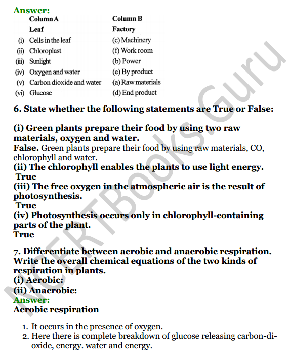Selina Concise Biology Class 7 ICSE Solutions Chapter 4 Photosynthesis and Respiration 3