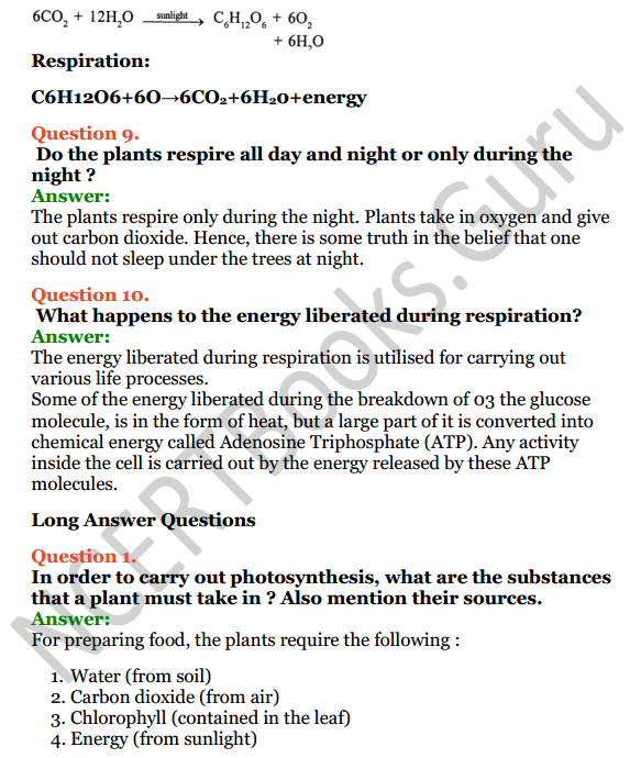 Selina Concise Biology Class 7 ICSE Solutions Chapter 4 Photosynthesis and Respiration 5