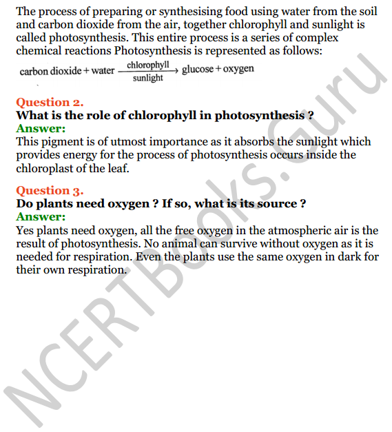 Selina Concise Biology Class 7 ICSE Solutions Chapter 4 Photosynthesis and Respiration 6