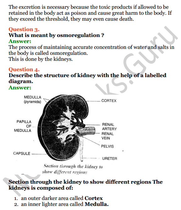Selina Concise Biology Class 7 ICSE Solutions Chapter 5 Excretion in Humans 4