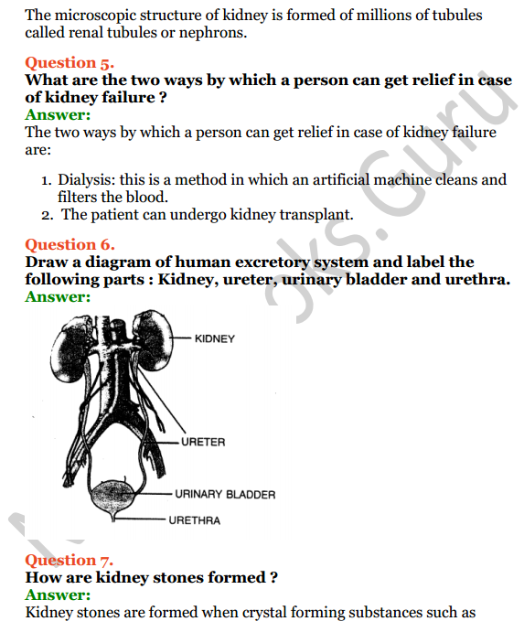 Selina Concise Biology Class 7 ICSE Solutions Chapter 5 Excretion in Humans 5